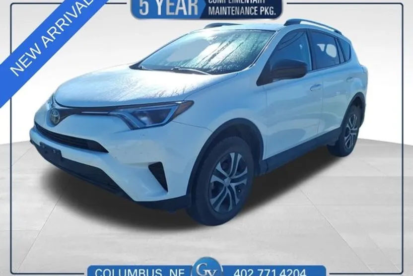 2018 Toyota RAV4 LE photo 1