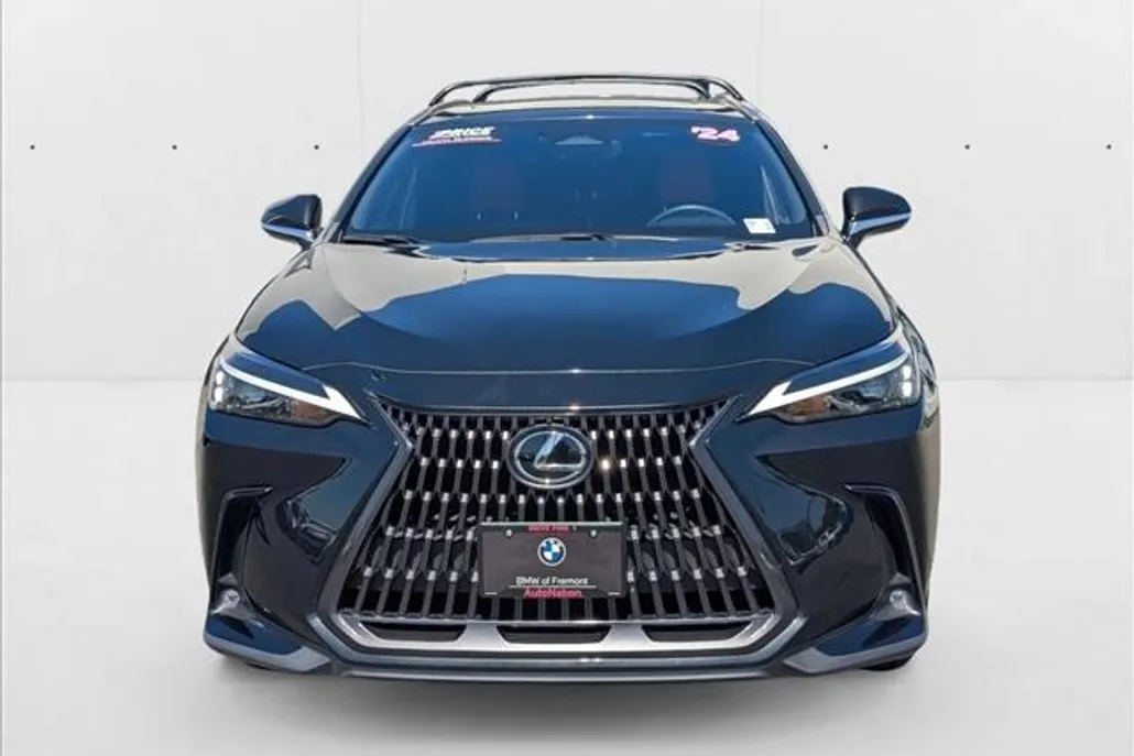 2024 Lexus NX 350h photo 1