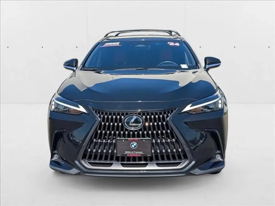2024 Lexus NX 350h photo 1