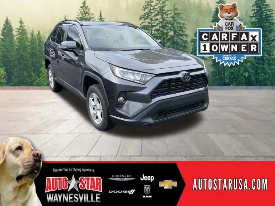 2019 Toyota RAV4 XLE photo 1