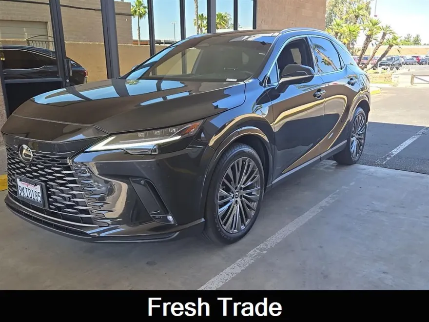 2024 Lexus RX 350 Luxury photo 1