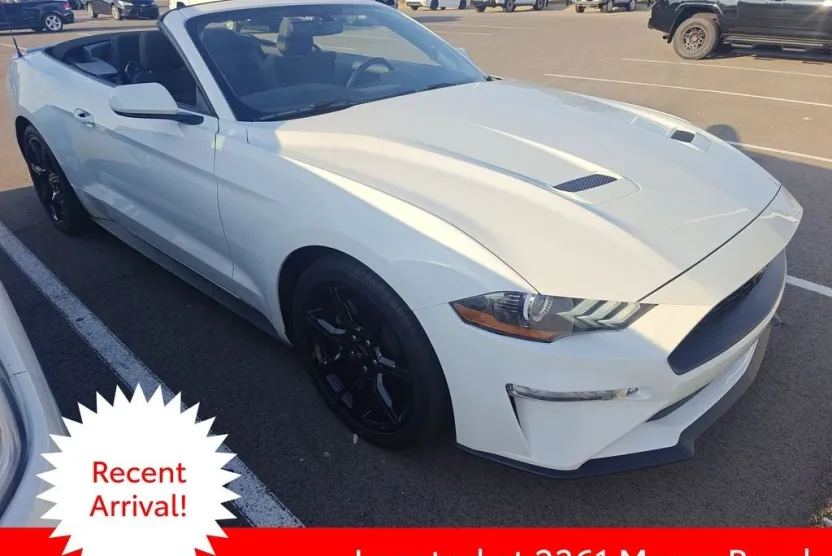 2019 Ford Mustang EcoBoost photo 1