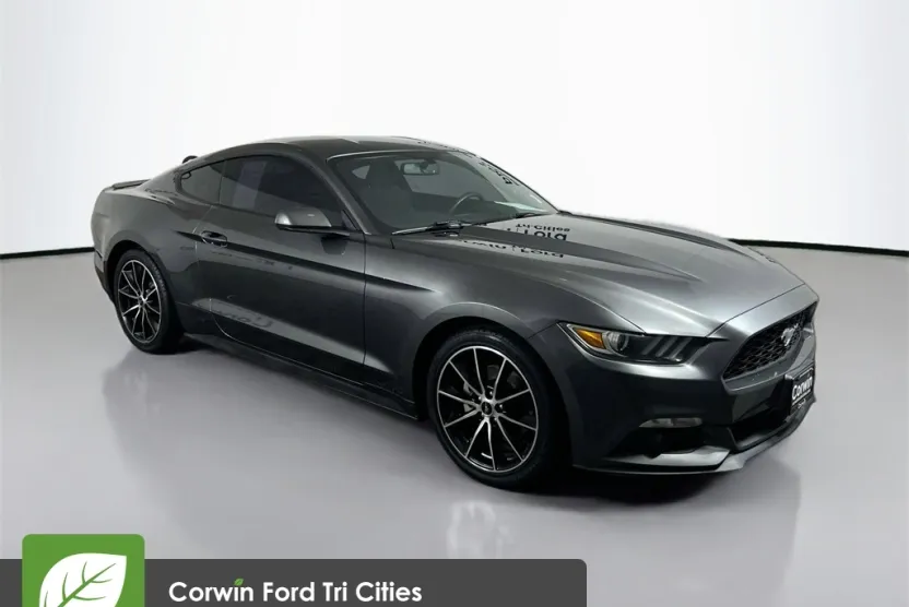 2015 Ford Mustang EcoBoost photo 1