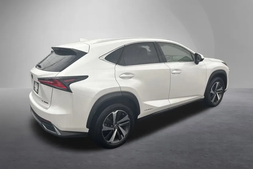 2021 Lexus NX 300h photo 1