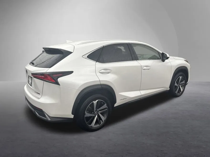 2021 Lexus NX 300h photo 1