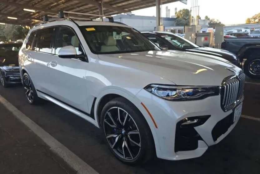 2019 Bmw X7 xDrive50i photo 1