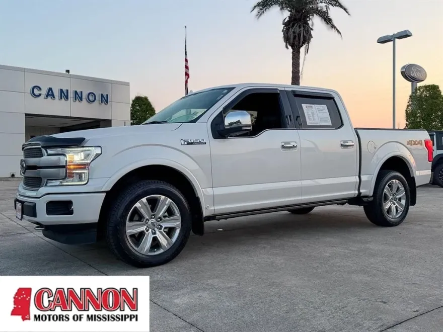 2019 Ford F-150 Platinum photo 1