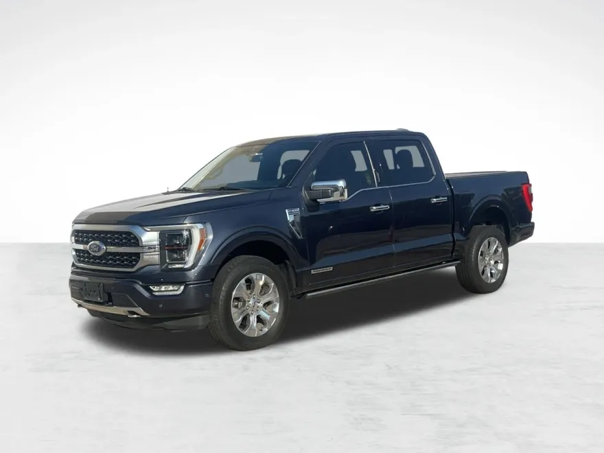 2021 Ford F-150 Platinum photo 1