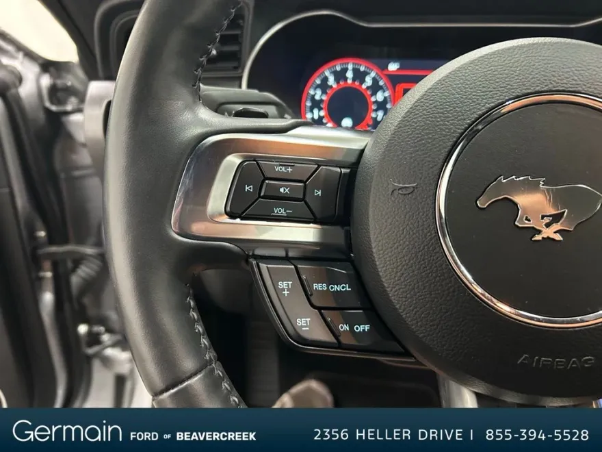 2022 Ford Mustang Mach 1 photo 19