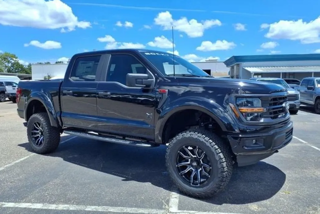 2025 Ford F-150 STX photo 1