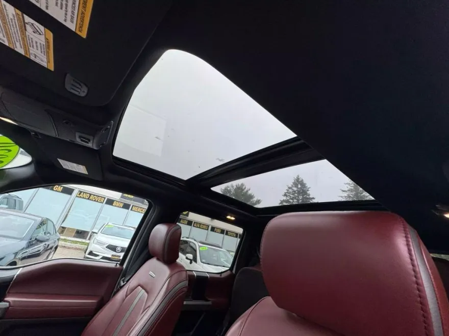 2020 Ford F-150 Platinum photo 1