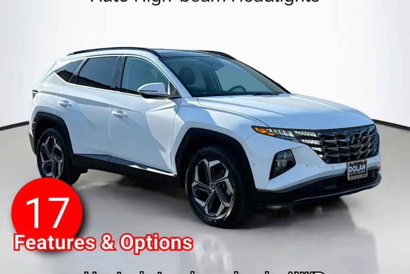 2024 Hyundai Tucson Limited Sport photo 1