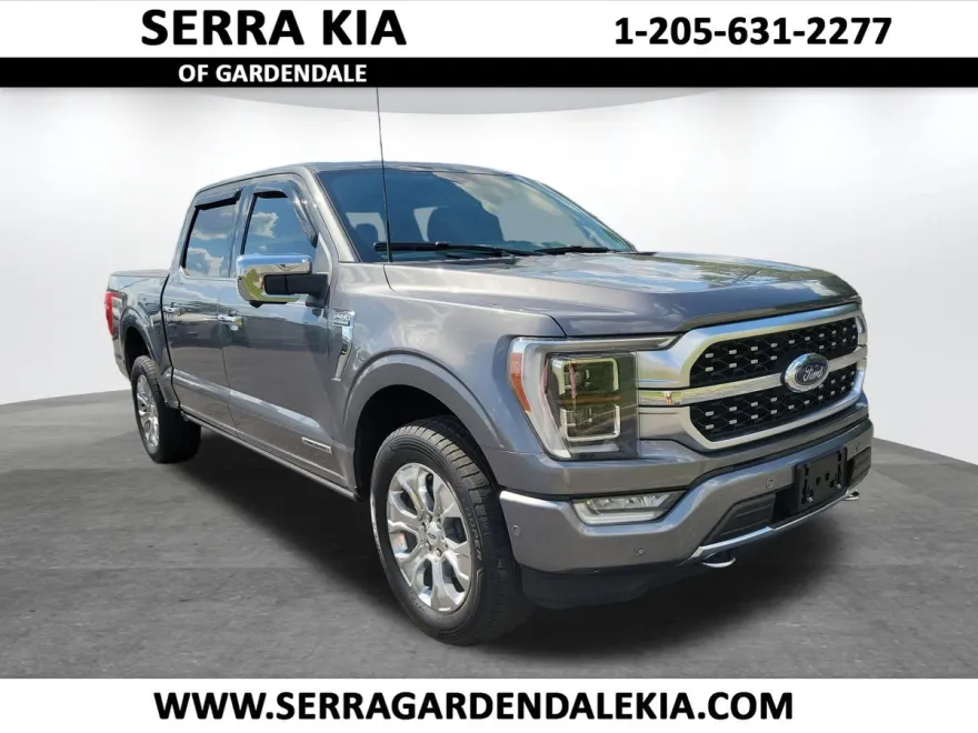 2021 Ford F-150 Platinum photo 1