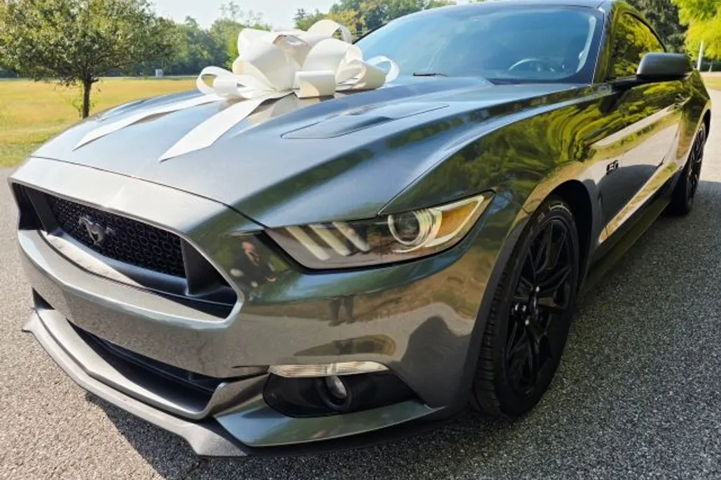 2017 Ford Mustang GT Premium photo 1