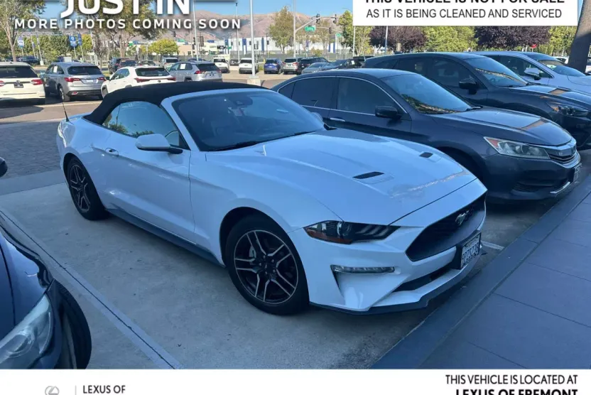2022 Ford Mustang EcoBoost Premium photo 1