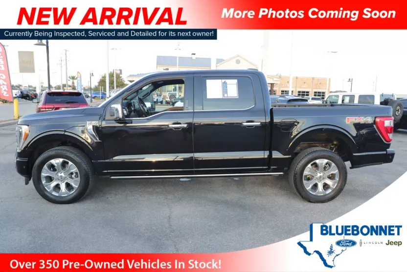 2022 Ford F-150 Platinum photo 1