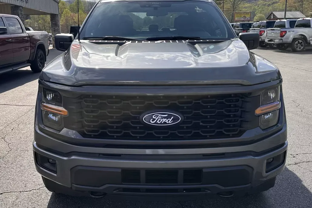 2025 Ford F-150 STX photo 1