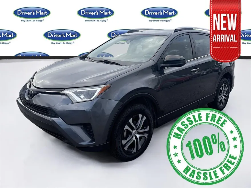 2018 Toyota RAV4 LE photo 1