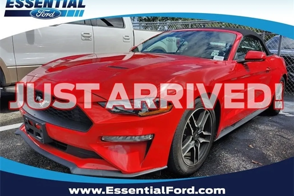 2023 Ford Mustang EcoBoost Premium photo 1