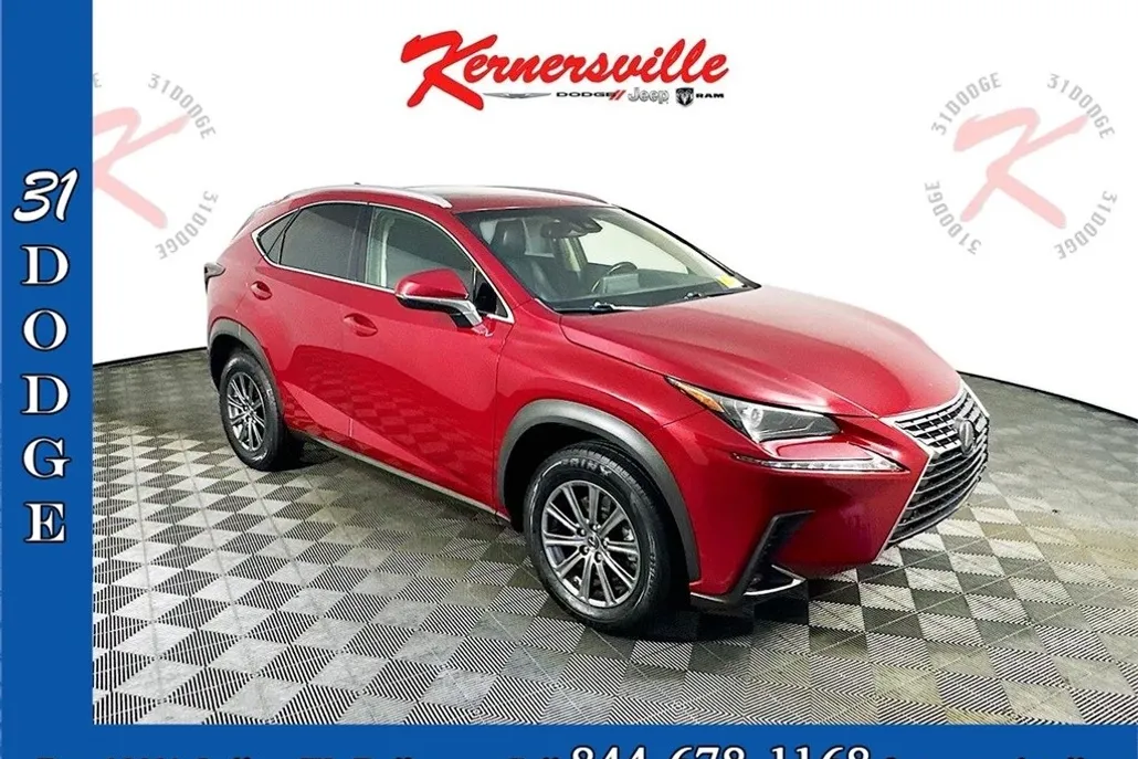 2019 Lexus NX 300 Luxury photo 1