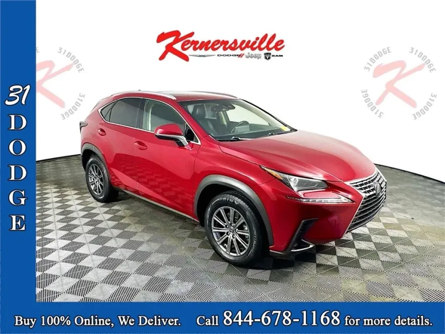 2019 Lexus NX 300 Luxury photo 1