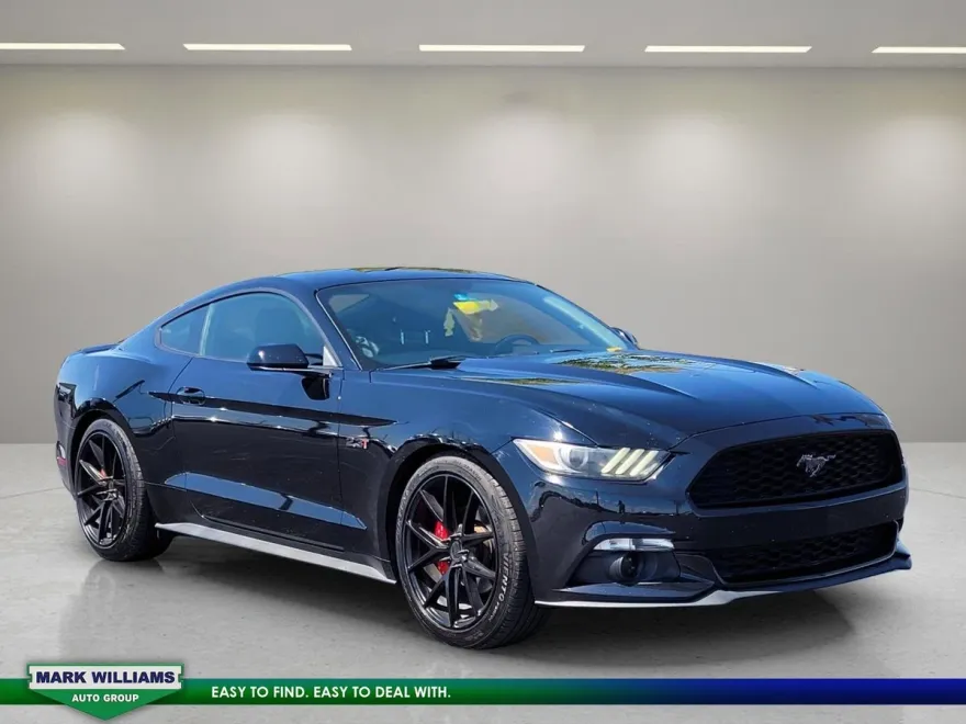 2016 Ford Mustang EcoBoost photo 1