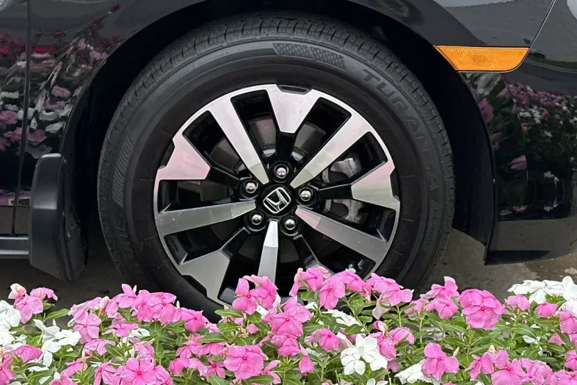 2025 Honda Odyssey EX-L photo 1