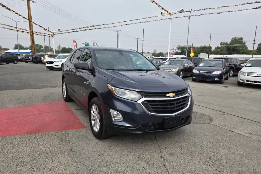 2019 Chevrolet Equinox LS photo 1