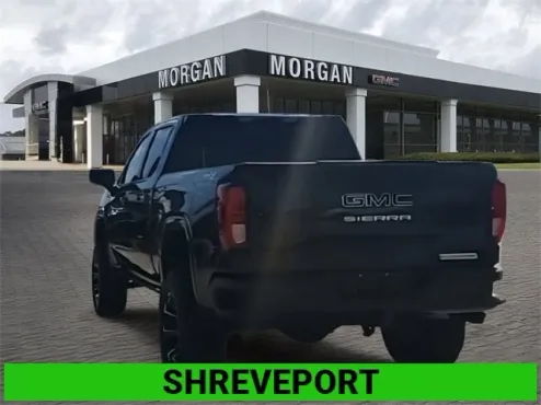 2020 Gmc Sierra 1500 Elevation photo 4