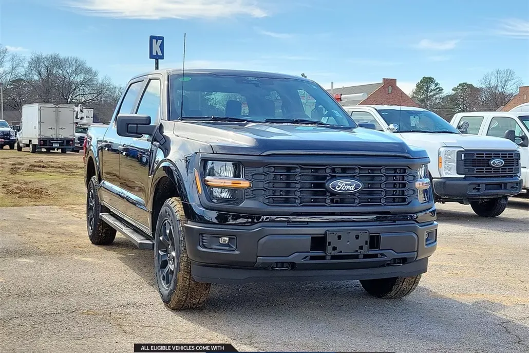 2025 Ford F-150 STX photo 1