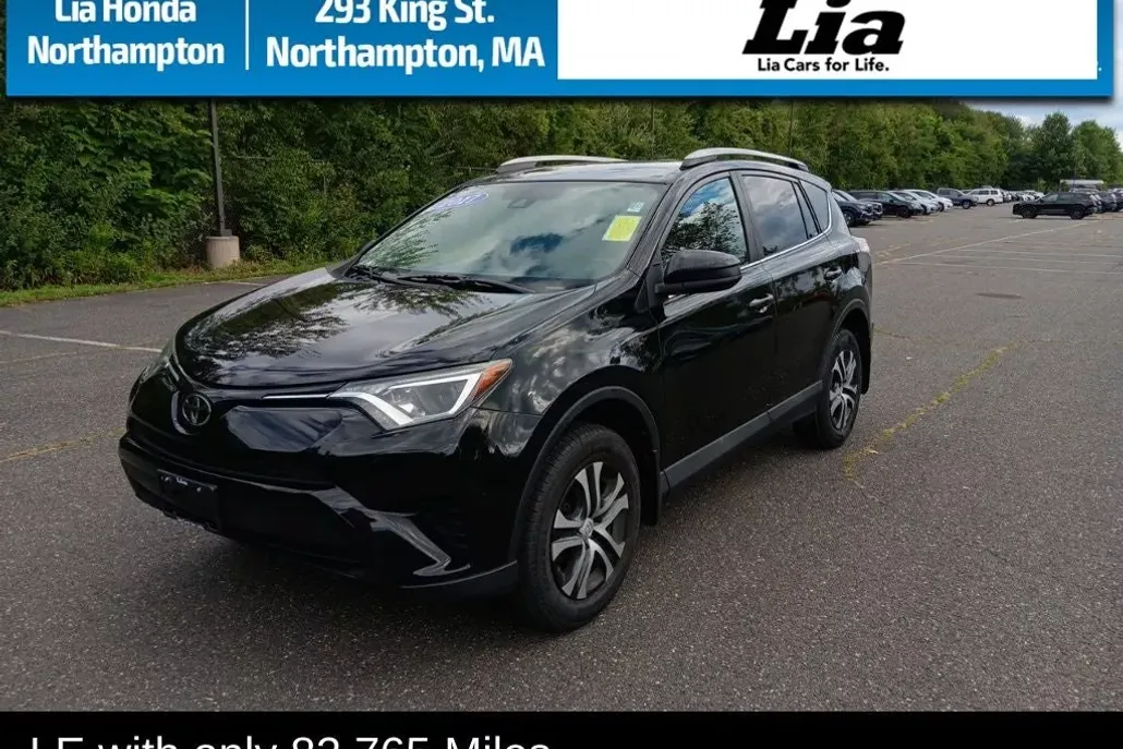 2017 Toyota RAV4 LE photo 1