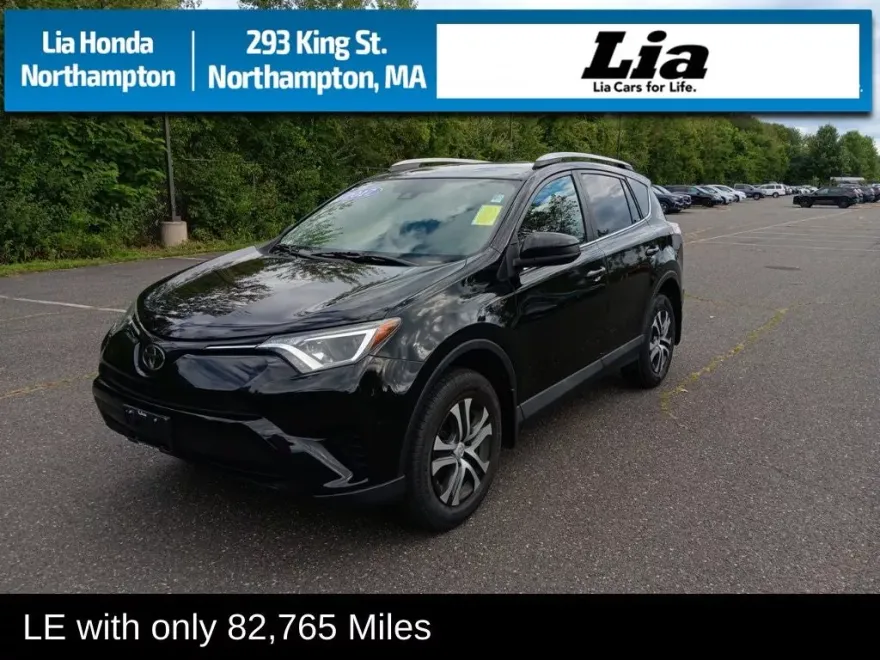 2017 Toyota RAV4 LE photo 1