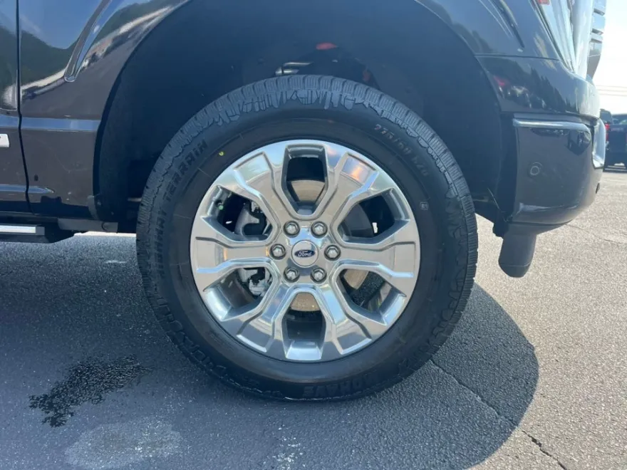 2021 Ford F-150 Platinum photo 12