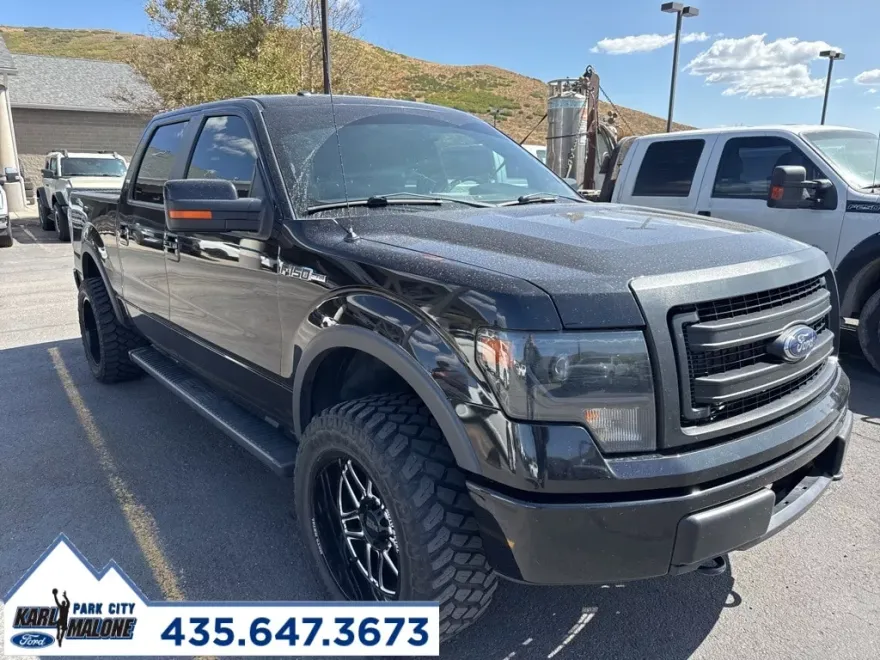 2014 Ford F-150 FX4 photo 1