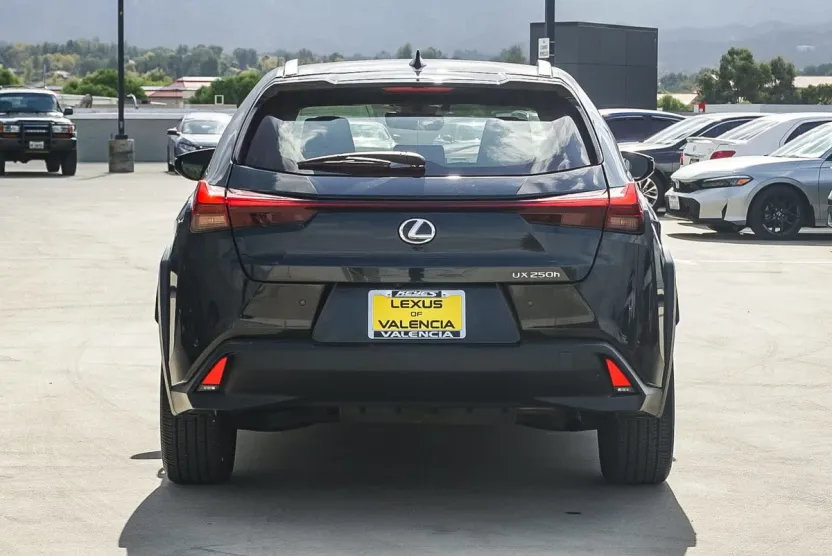 2024 Lexus UX 250h photo 1