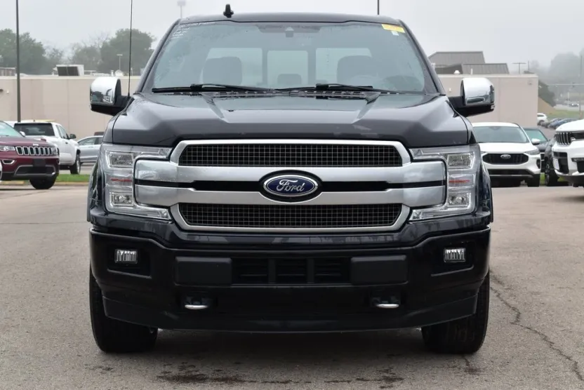 2020 Ford F-150 Platinum photo 1