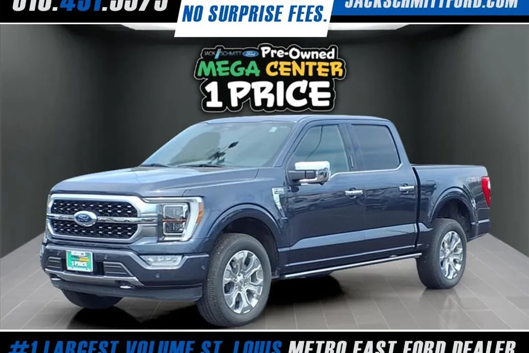 2021 Ford F-150 Platinum photo 1