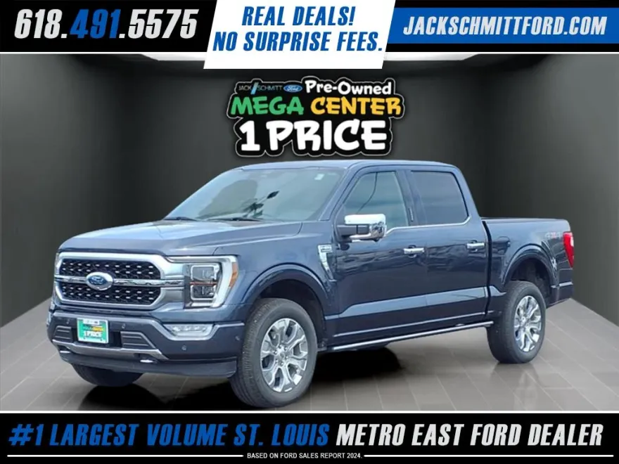 2021 Ford F-150 Platinum photo 1