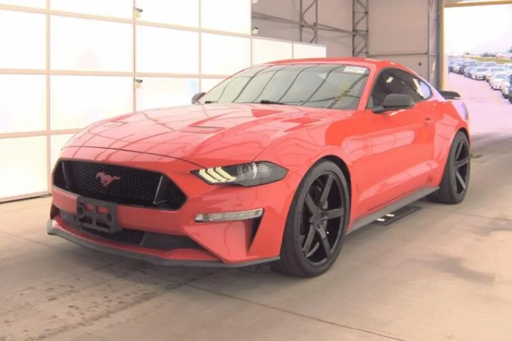 2019 Ford Mustang GT photo 1