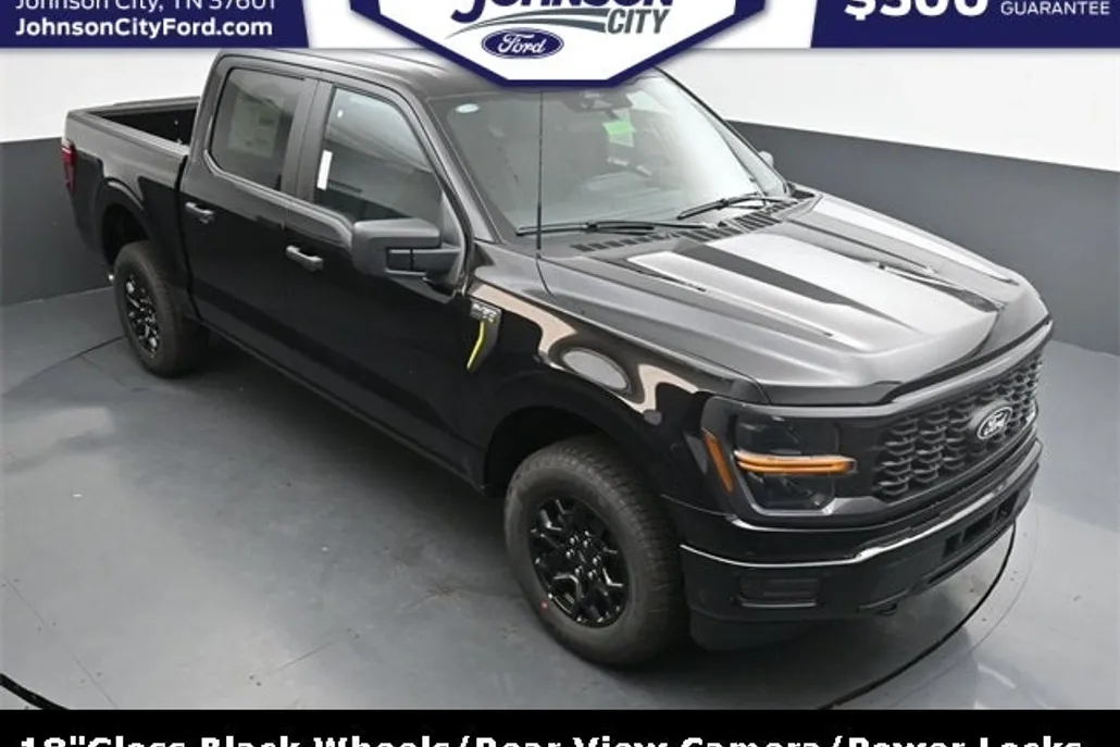 2025 Ford F-150 STX photo 1