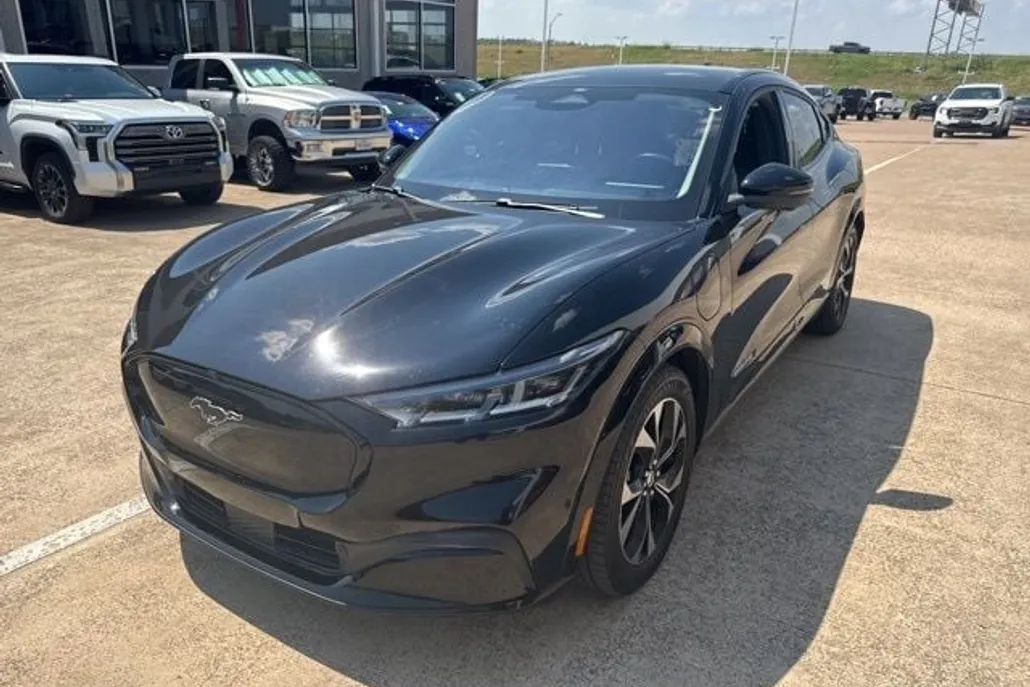 2021 Ford Mustang Mach-E Premium photo 1