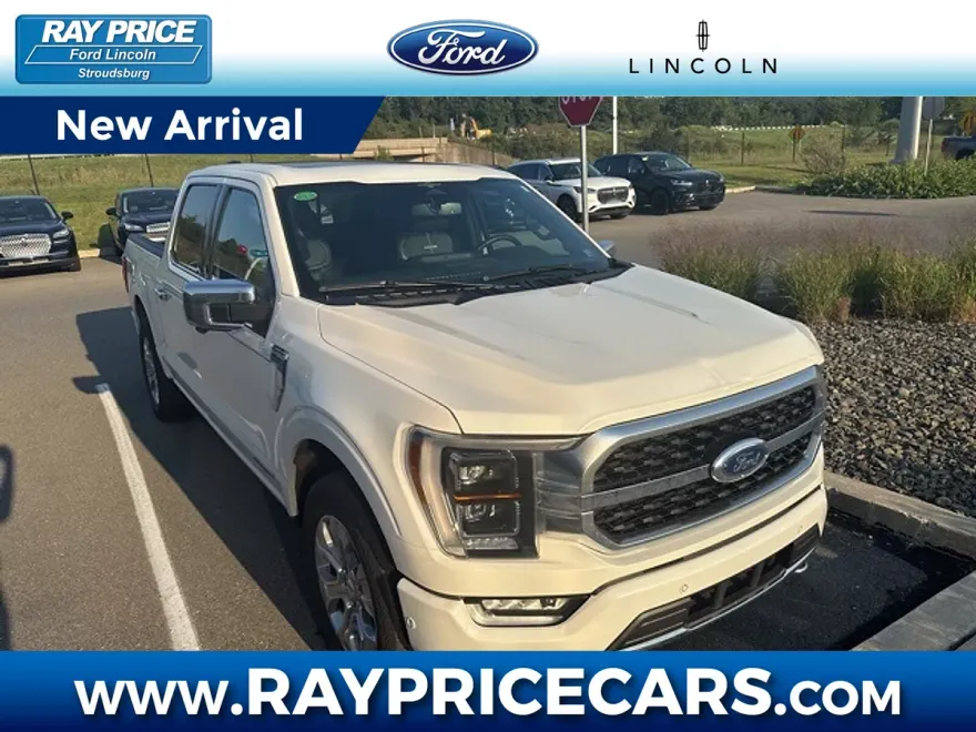 2023 Ford F-150 Platinum photo 1