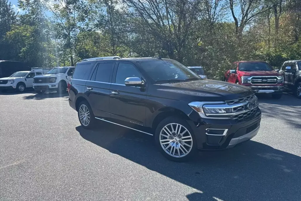 2024 Ford Expedition Platinum photo 1