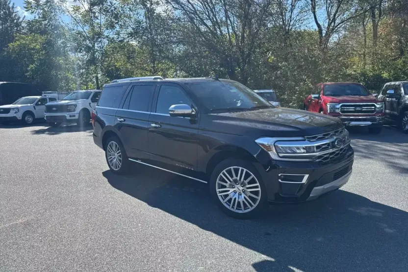 2024 Ford Expedition Platinum photo 1