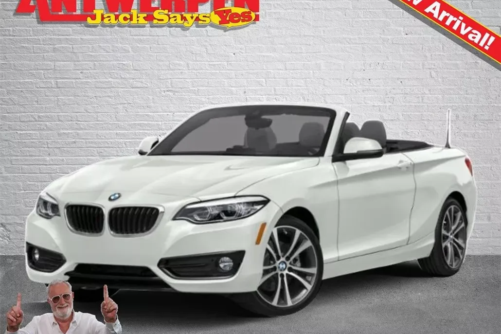 2019 Bmw 230i xDrive Convertible photo 1