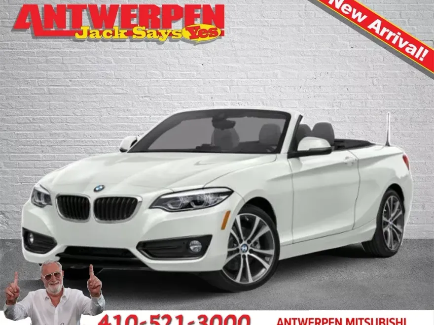 2019 Bmw 230i xDrive Convertible photo 1