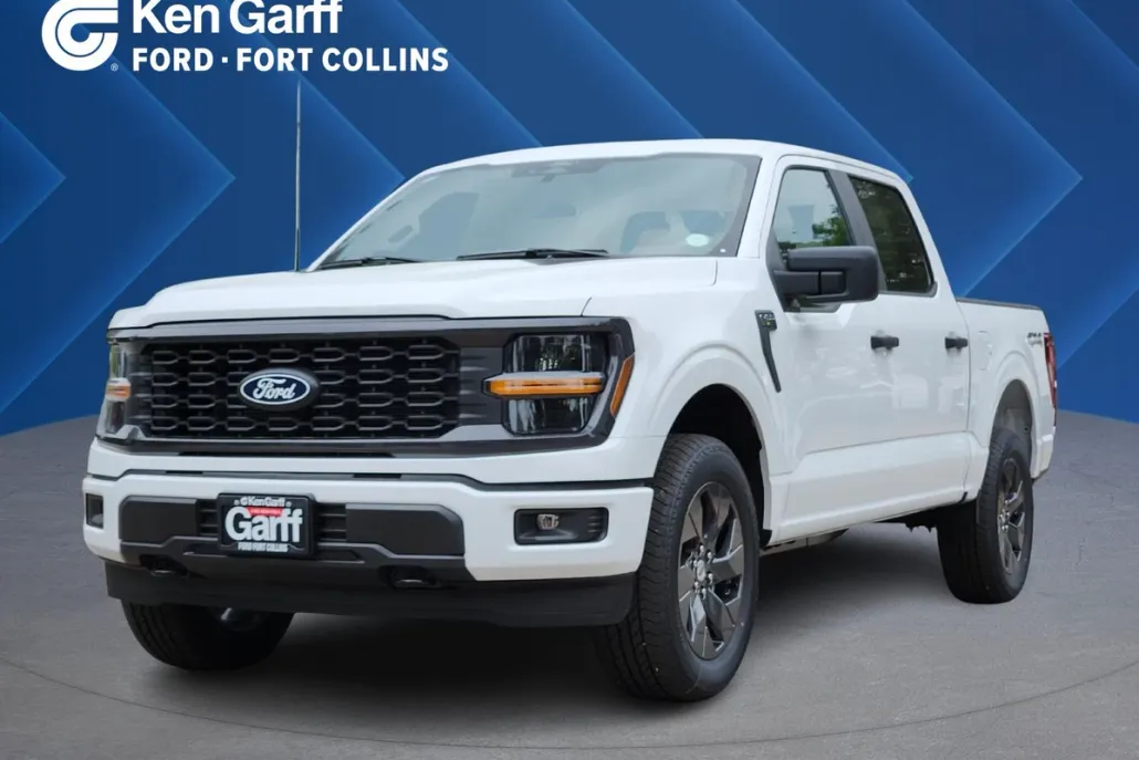 2025 Ford F-150 STX photo 1