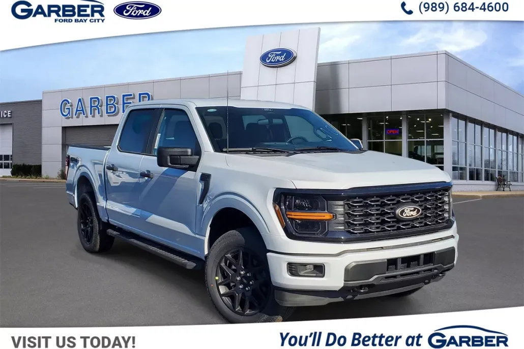 2025 Ford F-150 STX photo 1