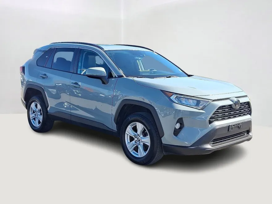 2019 Toyota RAV4 XLE photo 1