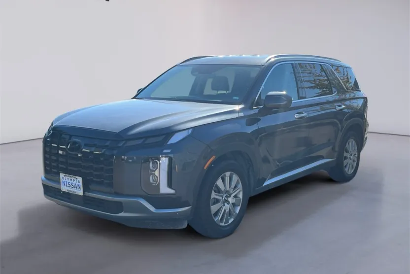 2024 Hyundai Palisade SEL photo 1